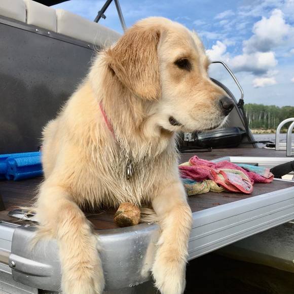 Meet your Posher, Lucie - Picture 1 of 1